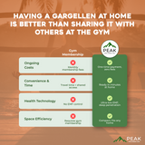 The Gargellen 5 Person Luxury Outdoor Hybrid Sauna