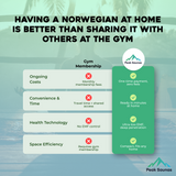 The Norwegian 4 Person Luxury Near Zero EMF Indoor Full Spectrum Infrared Sauna